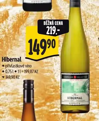 Albert Hibernal nabídka