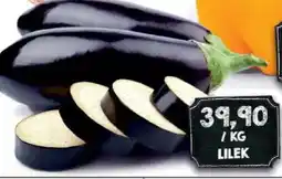 Jip Lilek nabídka