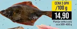 Jip Platys velký celý nabídka
