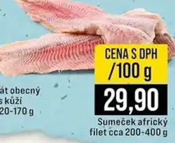 Jip Sumeček africký filet nabídka