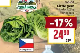 Billa Salát Little Gem nabídka