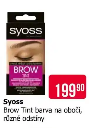 Teta Syoss nabídka