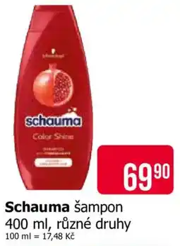 Teta Schauma nabídka