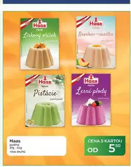 Tamda Foods Lesní plody Haas puding 37g-44 g nabídka
