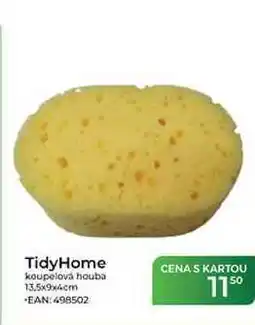 Tamda Foods TidyHome koupelová houba 13,5x9x4cm nabídka