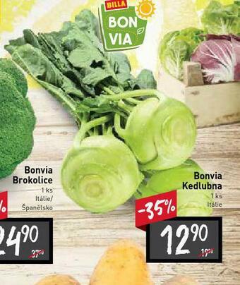 Billa Kedlubna nabídka