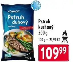 Qanto Pstruh kuchaný nabídka