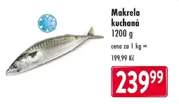 Qanto Makrela kuchaná nabídka