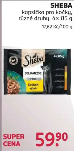 Rossmann Sheba nabídka