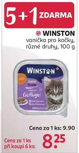 Rossmann Winston nabídka