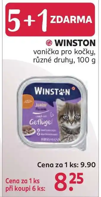 Rossmann Winston nabídka