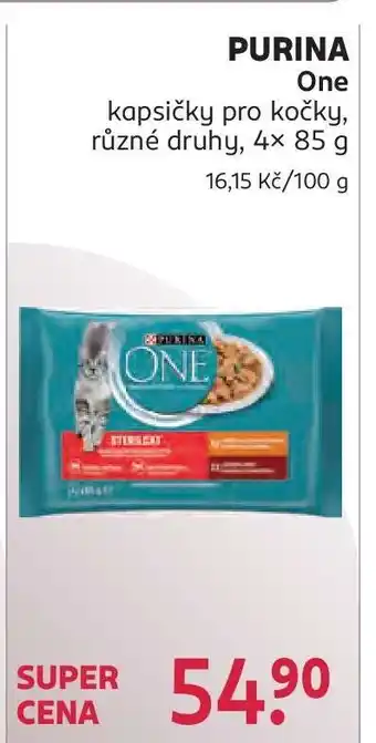 Rossmann Purina One nabídka