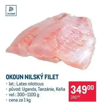 Makro Okoun nilský filet nabídka