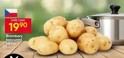 Hruška Brambory konzumní rané nabídka