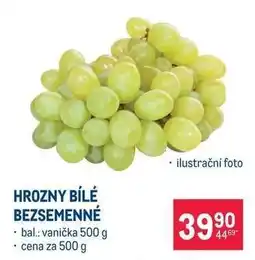 Makro Hrozny bílé bezsemenné nabídka