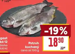 Billa PSTRUH KUCHANÝ nabídka