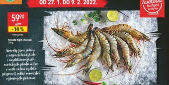 Globus Krevety tygří s hlavou nabídka