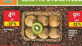 Globus Kiwi zelené nabídka