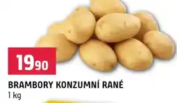 Terno Brambory konzumní rané nabídka