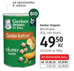 dm drogerie Gerber Organic nabídka
