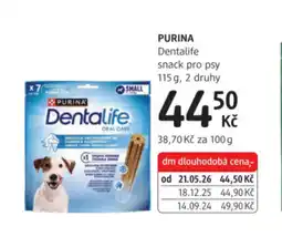 dm drogerie PURINA Dentalife nabídka