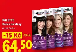 Lidl PALETTE Barva na vlasy nabídka