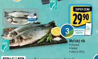 Albert Mořský vlk nabídka