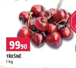 Terno Třešně nabídka