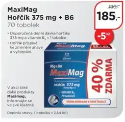 Magistra lékárny Maximag, Hořčík 375 mg + B6 nabídka