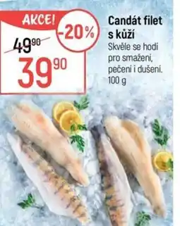 Globus Candát filet s kůží nabídka