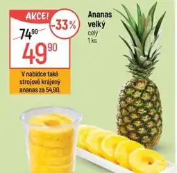 Globus Ananas velký nabídka