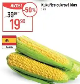 Globus Kukuřice cukrová klas nabídka