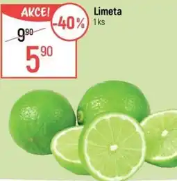 Globus Limeta nabídka