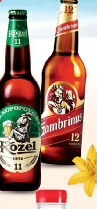 Globus Velkopopovický Kozel 11 nabídka