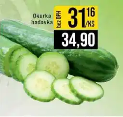Jip Okurka hadovka nabídka