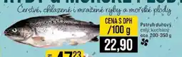 Jip Pstruh duhový nabídka