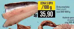Jip Štika mořská nabídka
