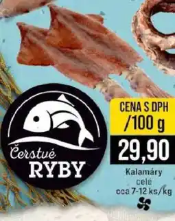 Jip Kalamáry celé nabídka
