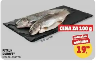 Penny Market Pstruh duhový nabídka