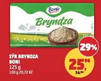 Penny Market Sýr bryndza boni nabídka