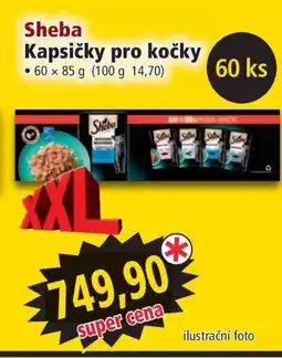 Norma Sheba kapsičky pro kočky nabídka