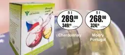 Adam Modrý Portugal nabídka