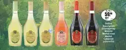 Adam Sollus Sauvignon Chardonnay Muscat Merlot rosé Merlot Cabernet nabídka