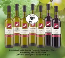 Adam Rulandské šedé, Tramín červený, Sauvignon Blanc, Chardonnay, Veltlínské zelené nabídka
