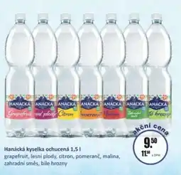 Adam Hanácká kyselka ochucená nabídka
