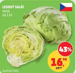 Penny Market Ledový salát nabídka