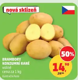 Penny Market Brambory konzumní rané nabídka