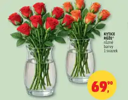 Penny Market Kytice růže nabídka