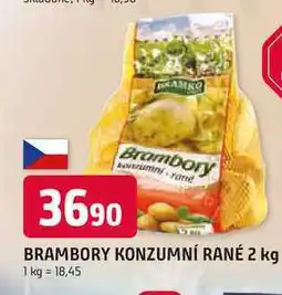 Trefa BRAMBORY KONZUMNÍ RANÉ nabídka
