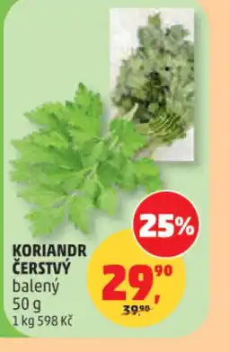 Penny Market Koriandr čerstvý balený nabídka